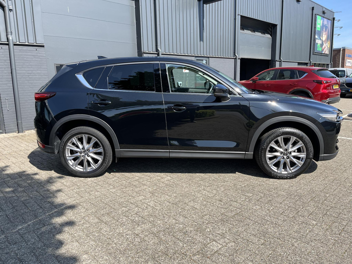 Mazda Mazda