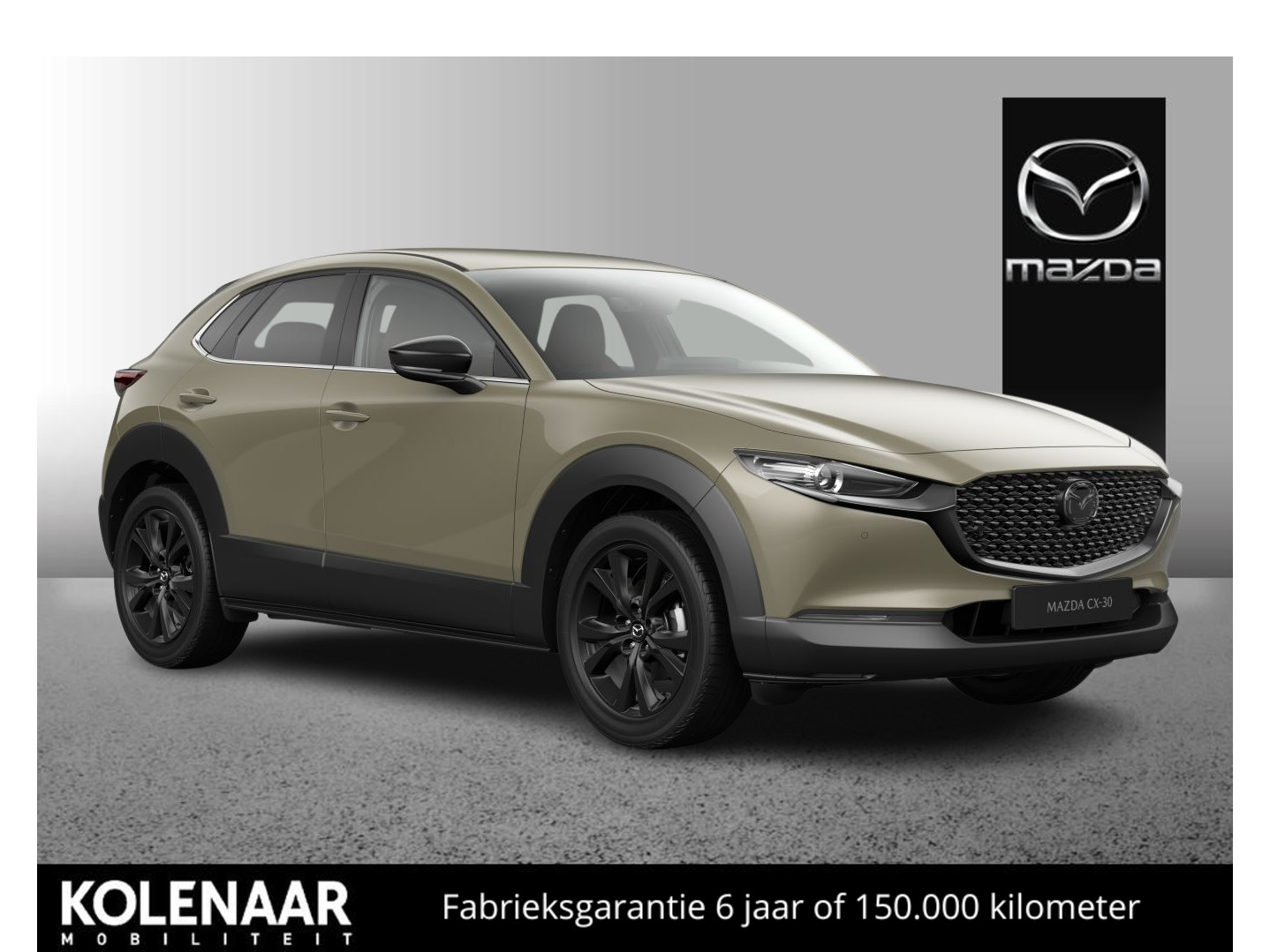 Mazda Mazda