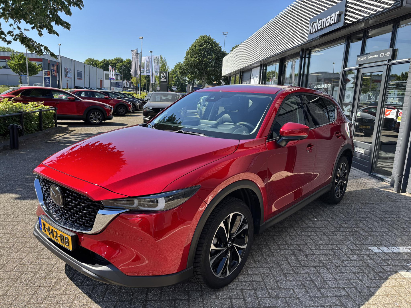 Mazda Mazda