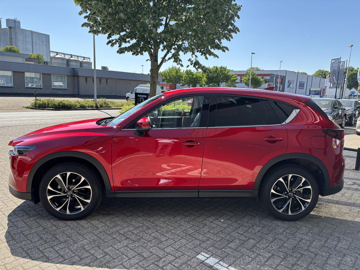 Mazda Mazda
