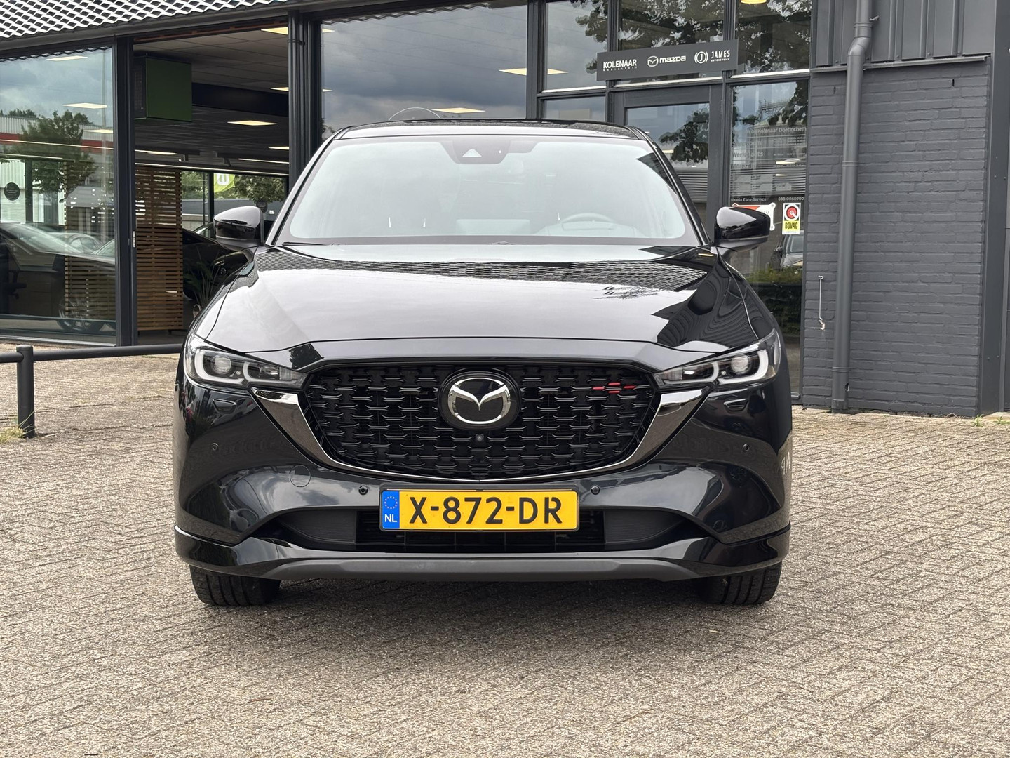Mazda Mazda