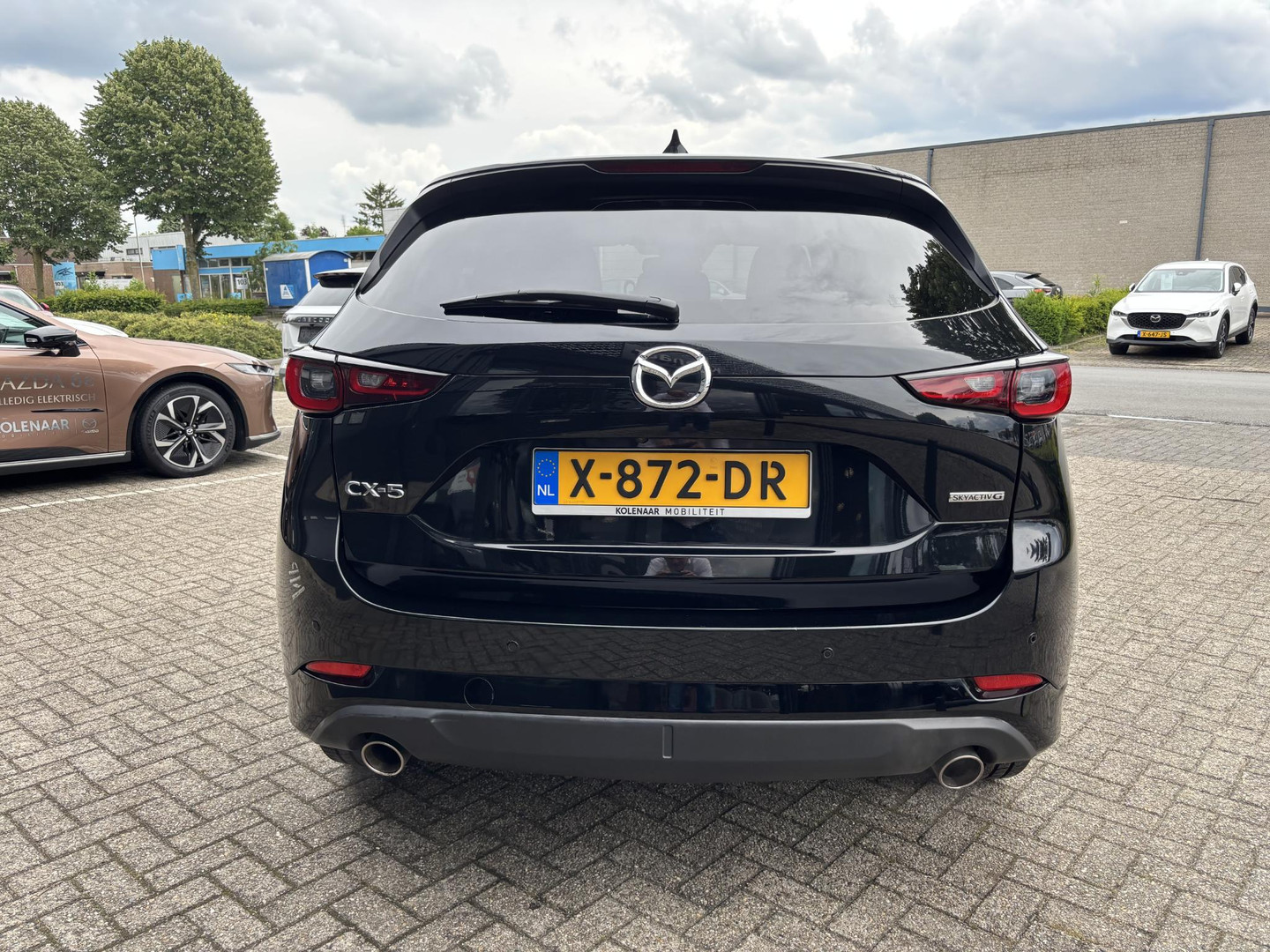 Mazda Mazda