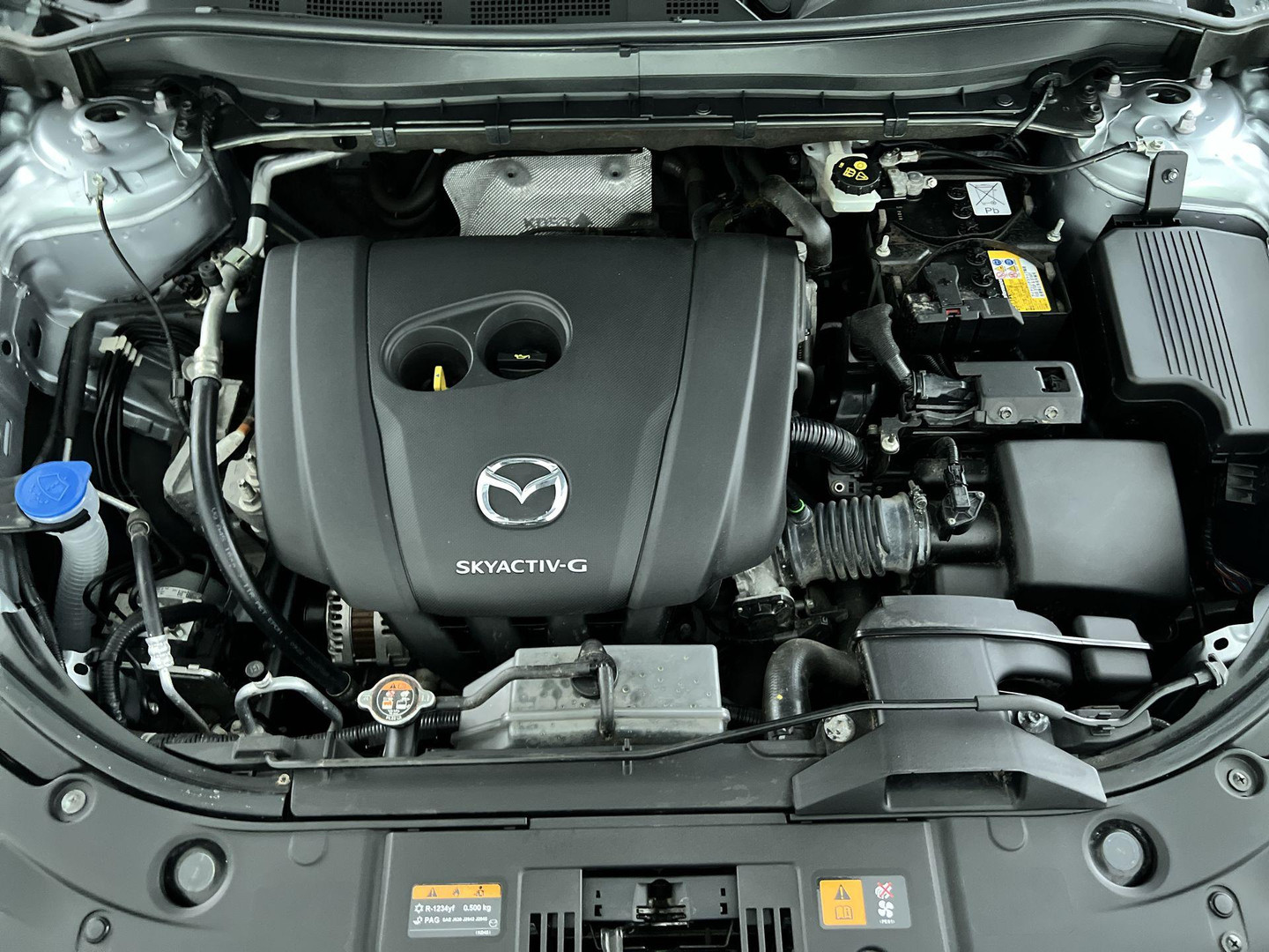 Mazda Mazda