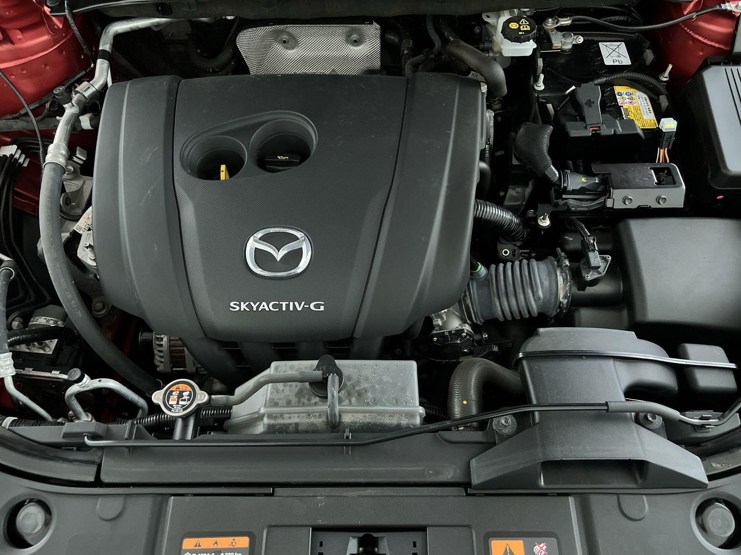 Mazda Mazda