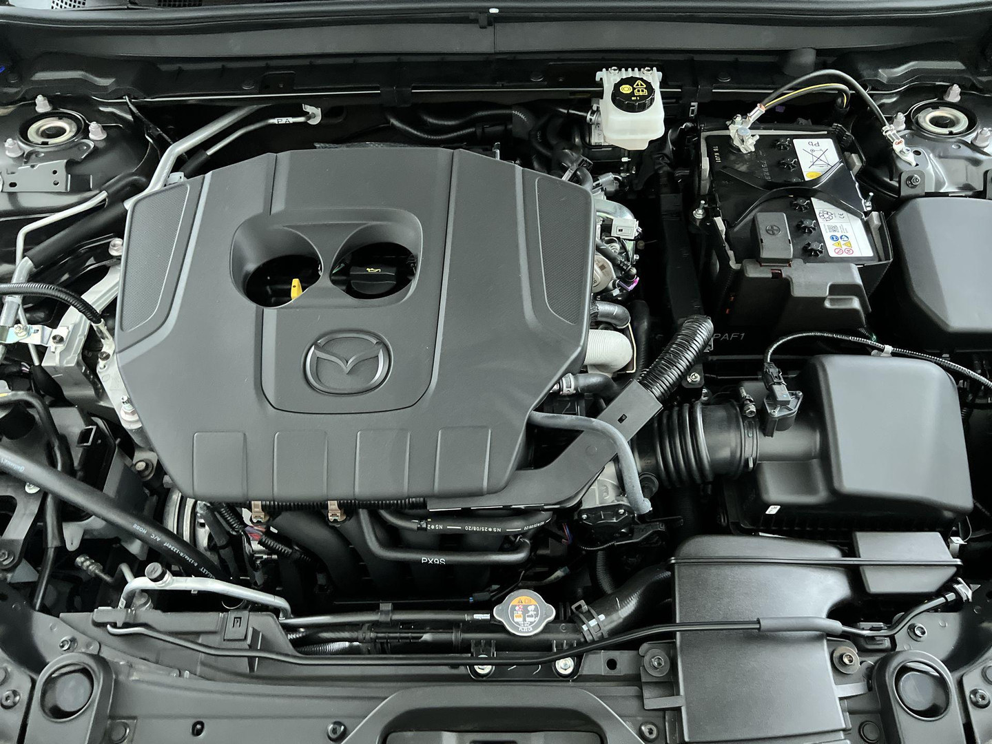 Mazda Mazda