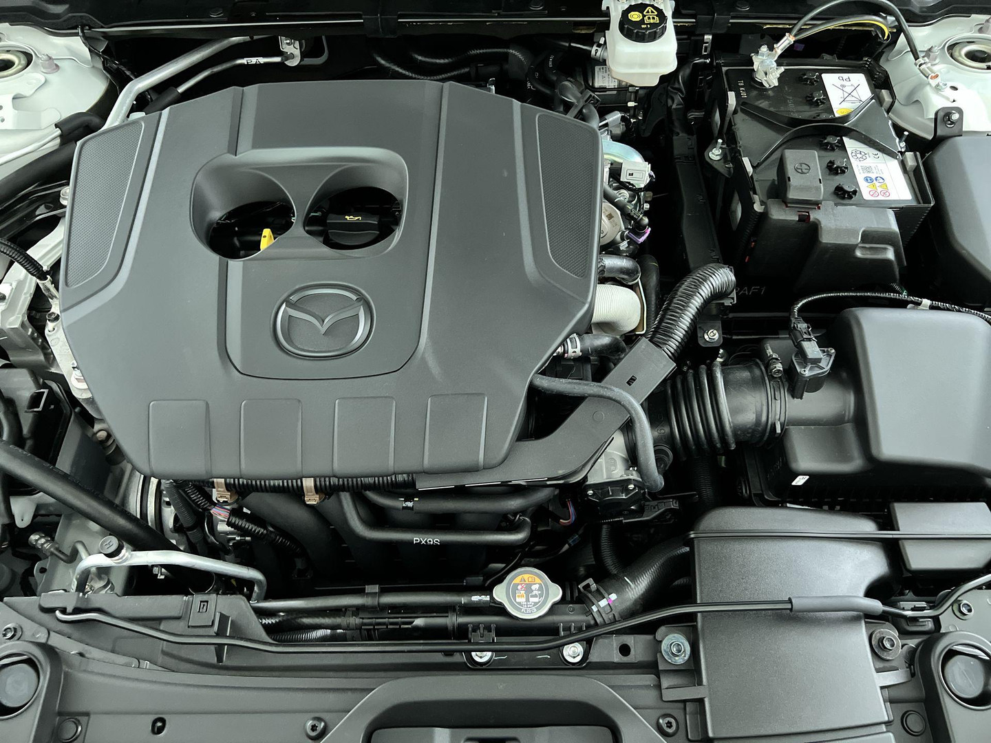 Mazda Mazda
