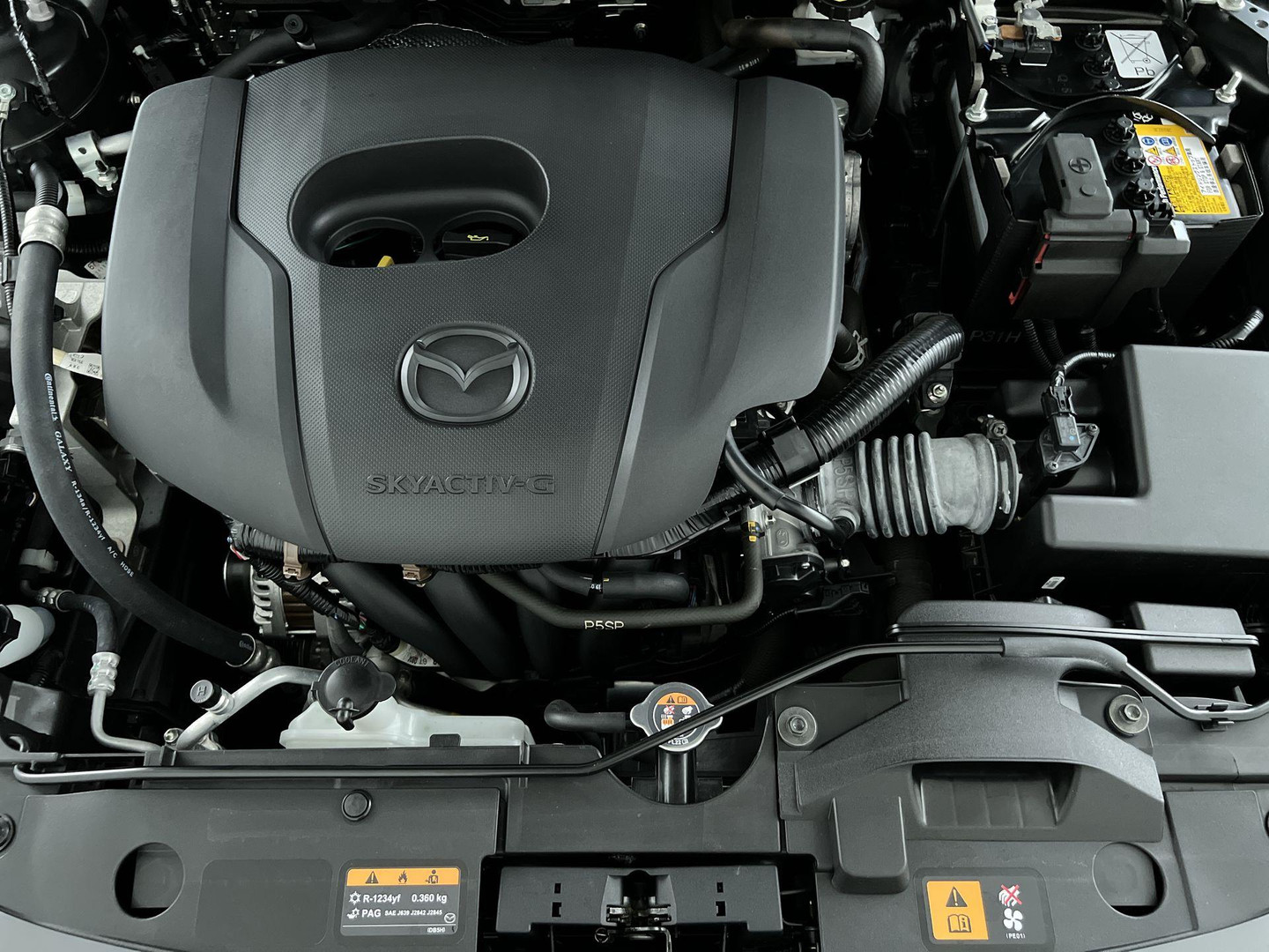 Mazda Mazda