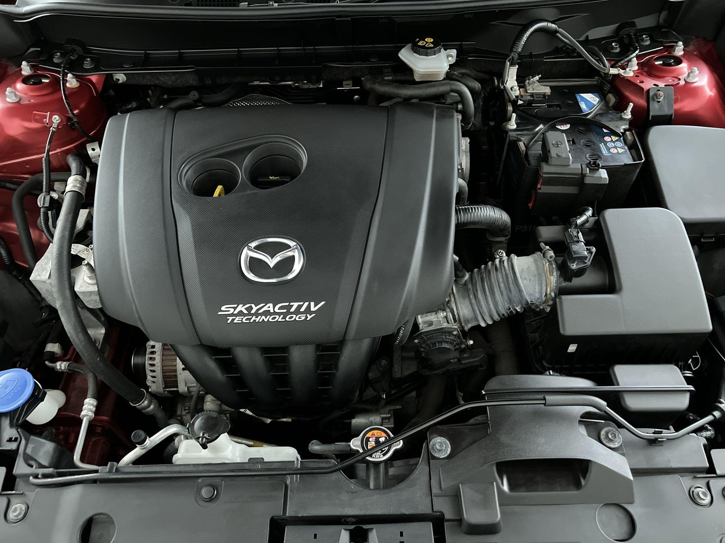 Mazda Mazda