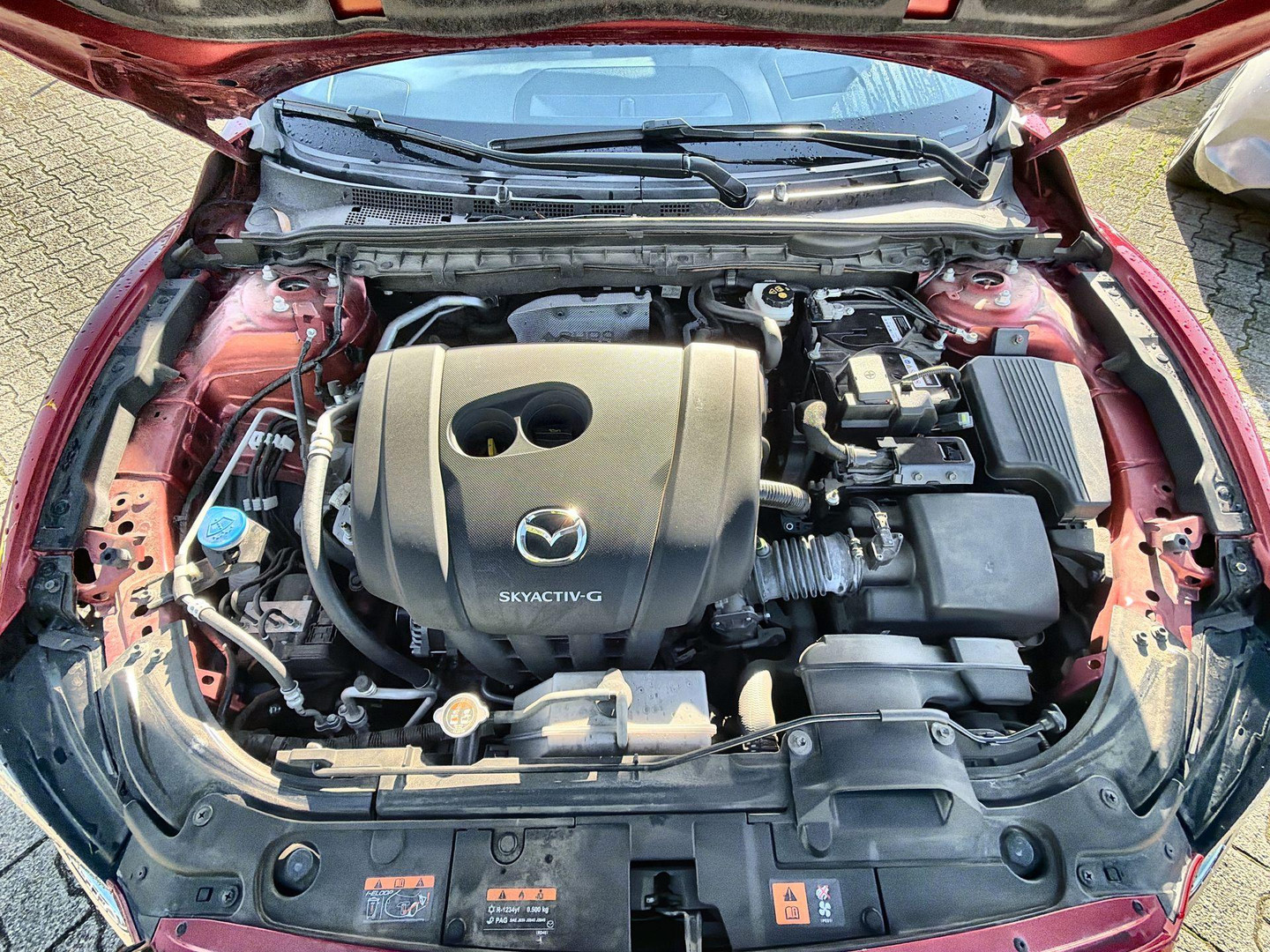 Mazda Mazda