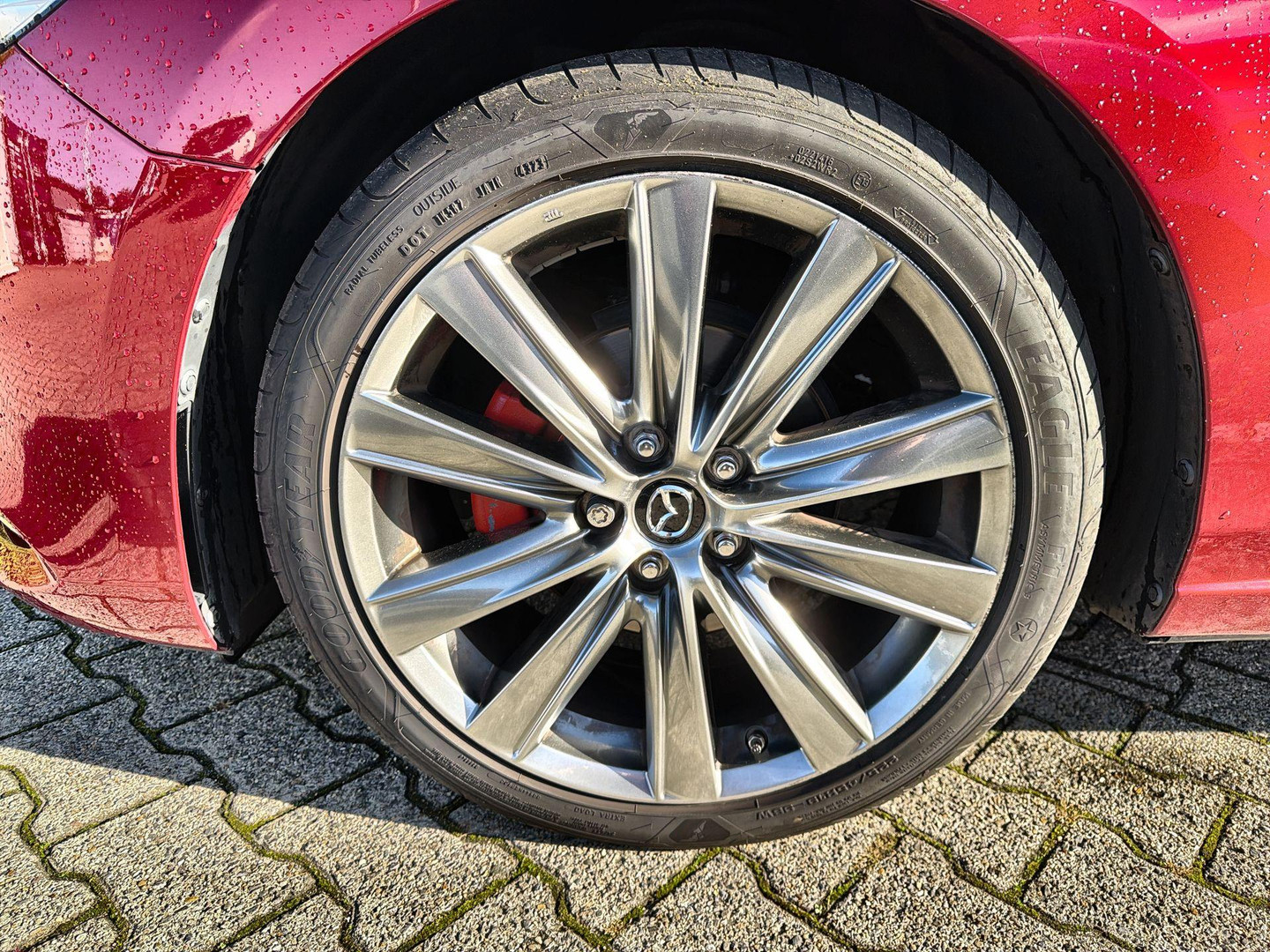 Mazda Mazda