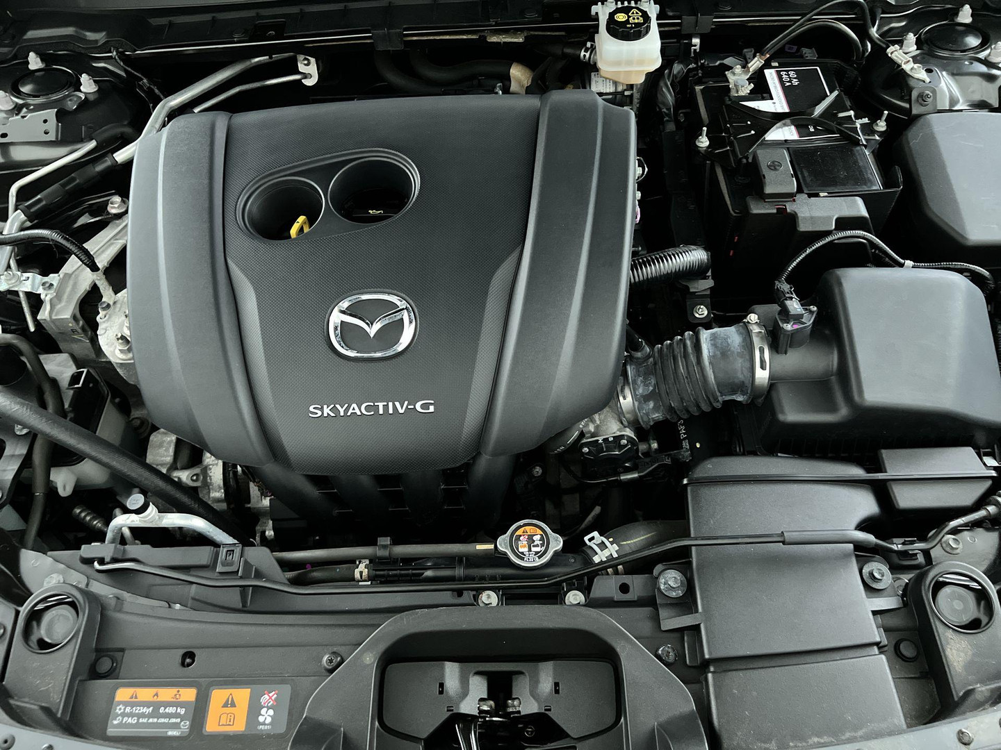 Mazda Mazda
