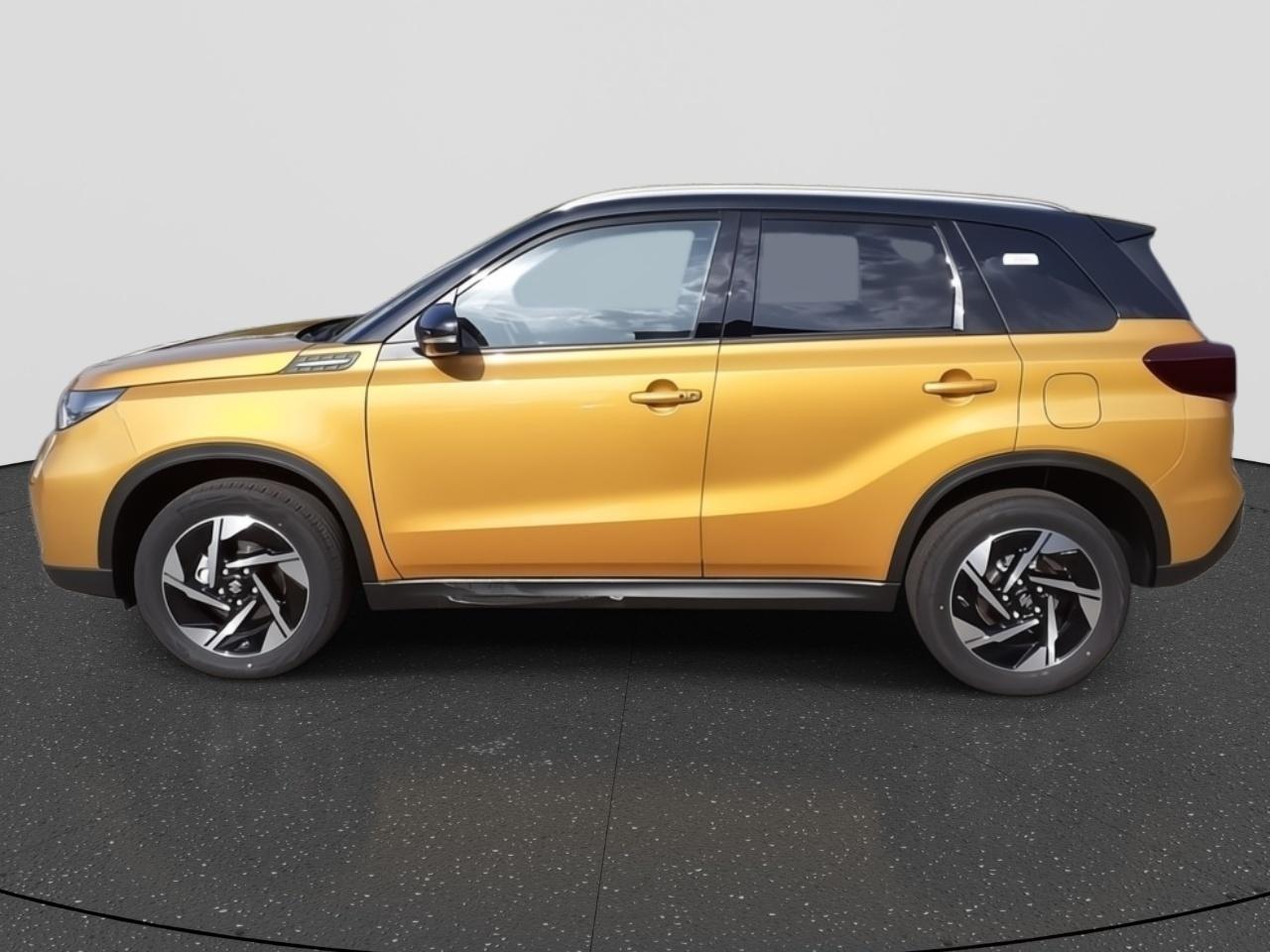 Suzuki Suzuki
