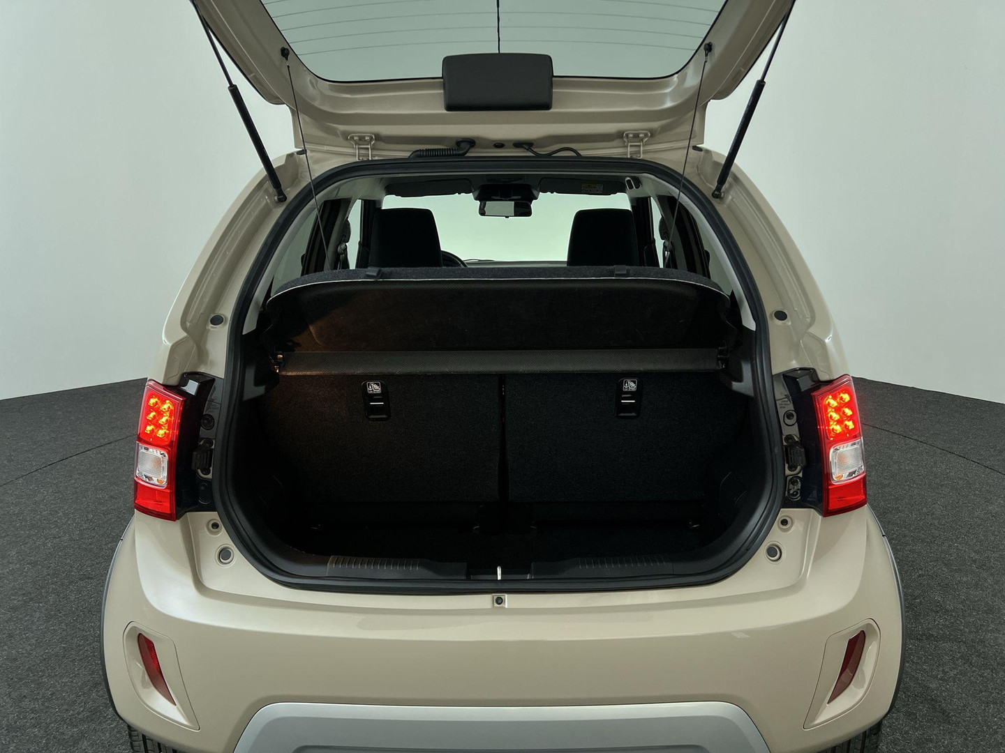 Suzuki Suzuki