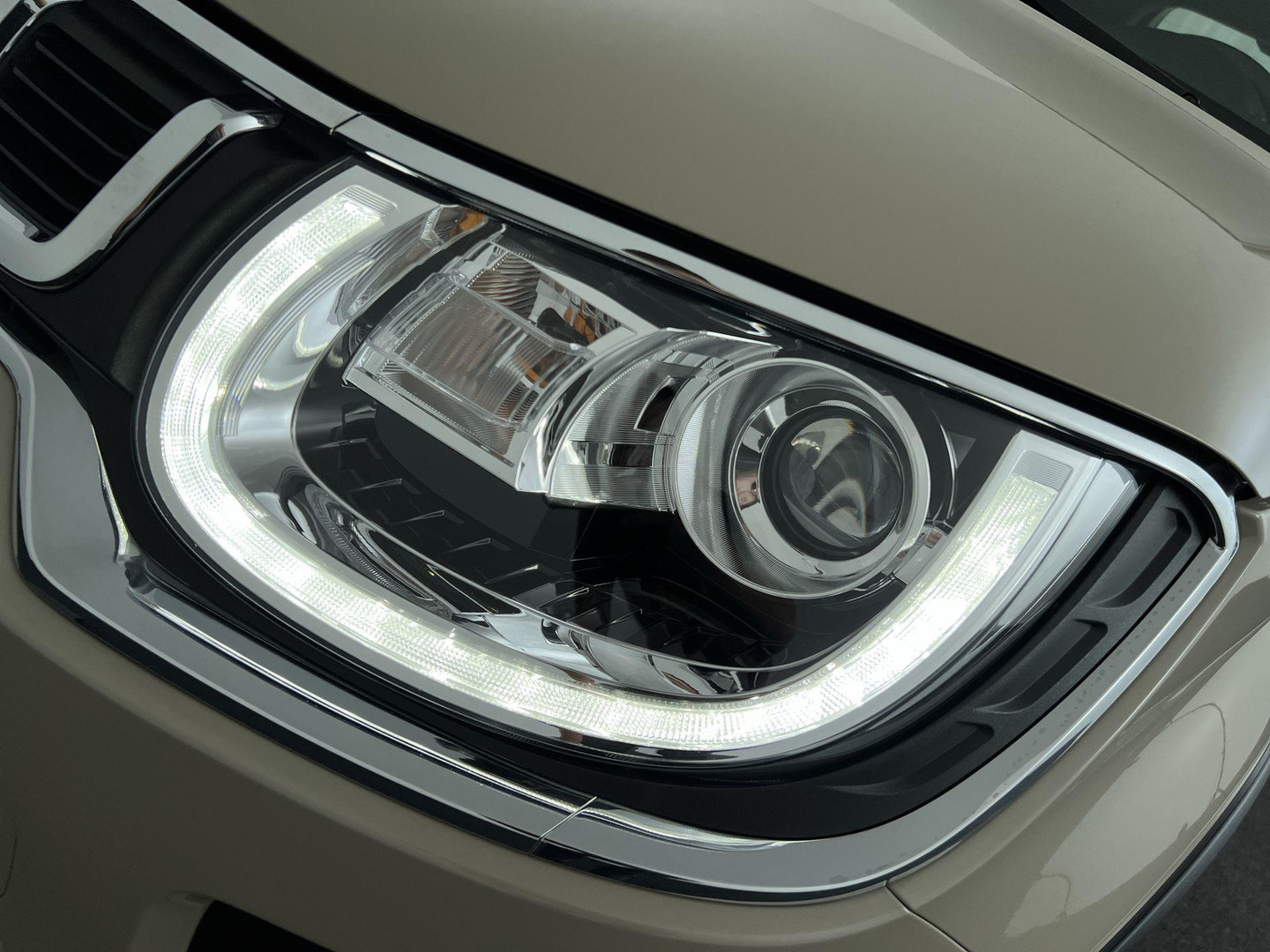 Suzuki Suzuki