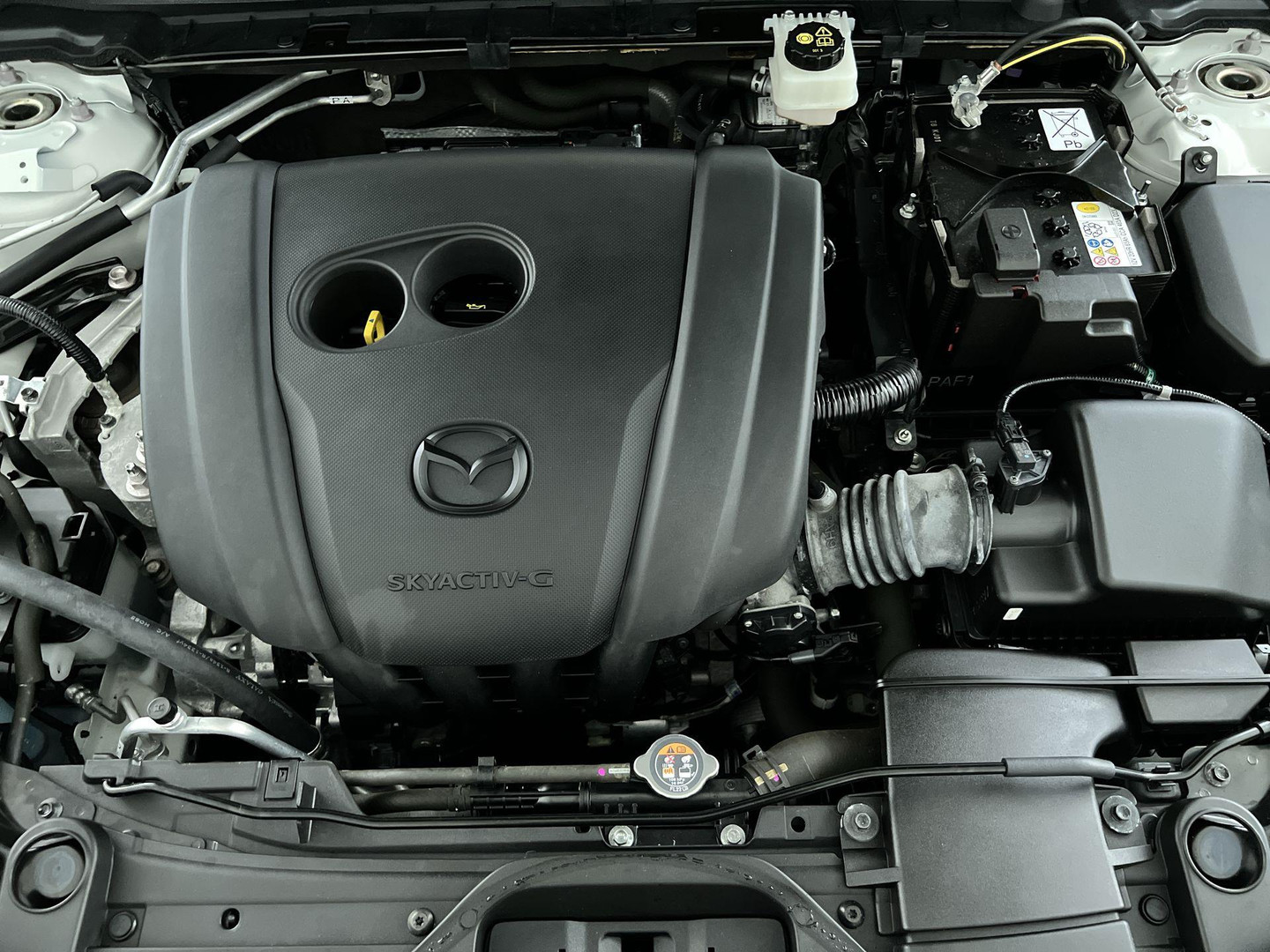 Mazda Mazda