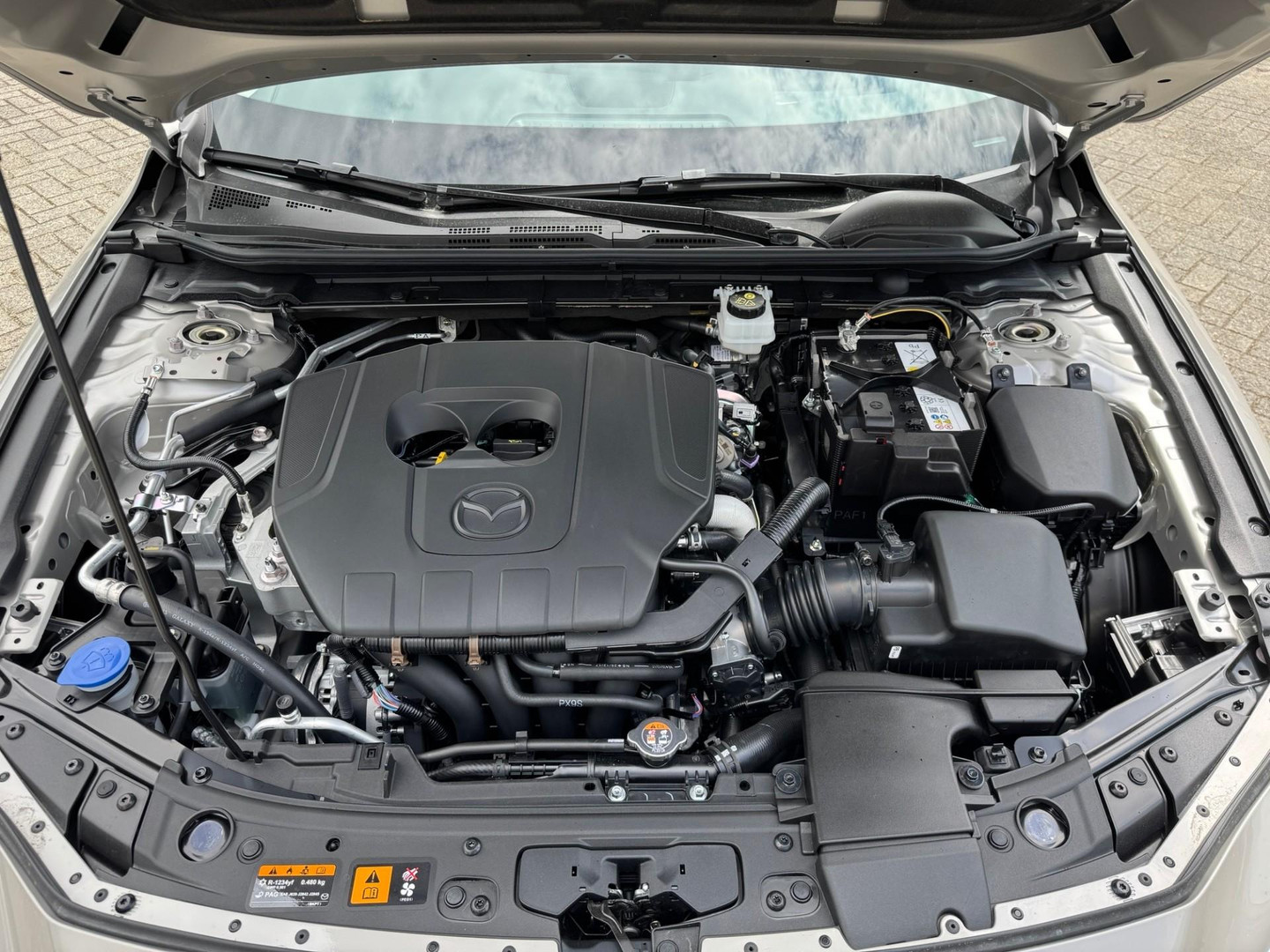 Mazda Mazda