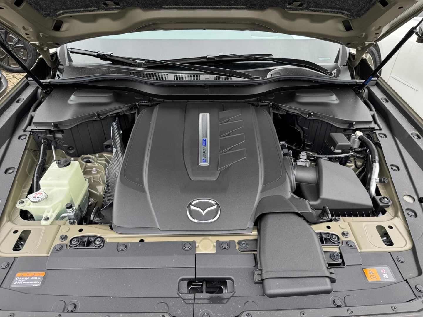 Mazda Mazda