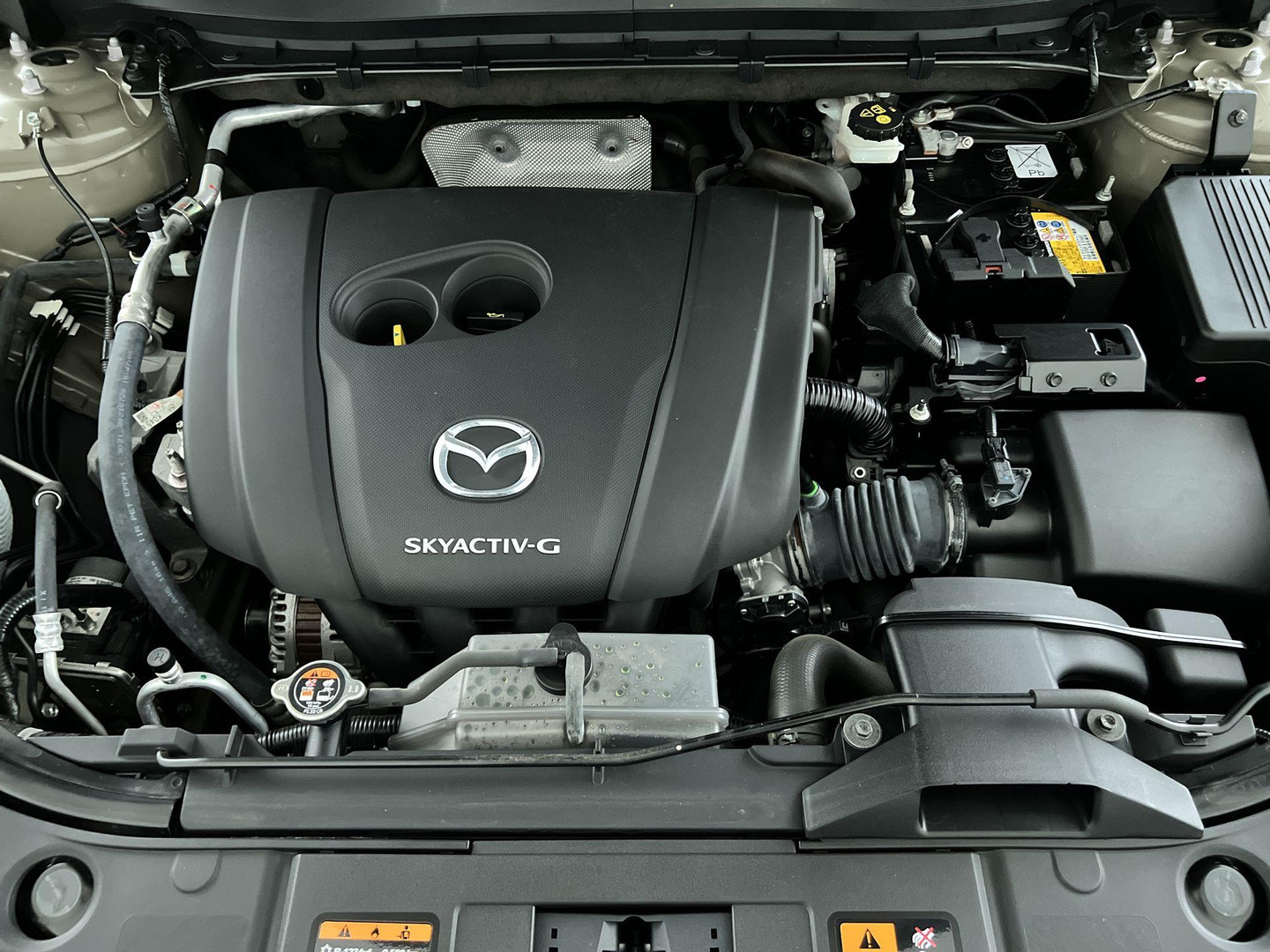 Mazda Mazda
