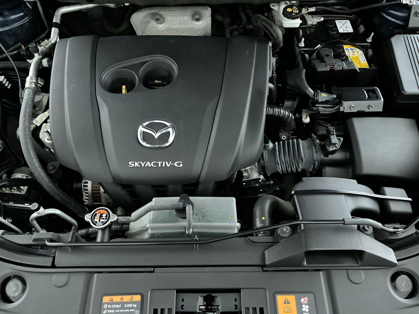 Mazda Mazda