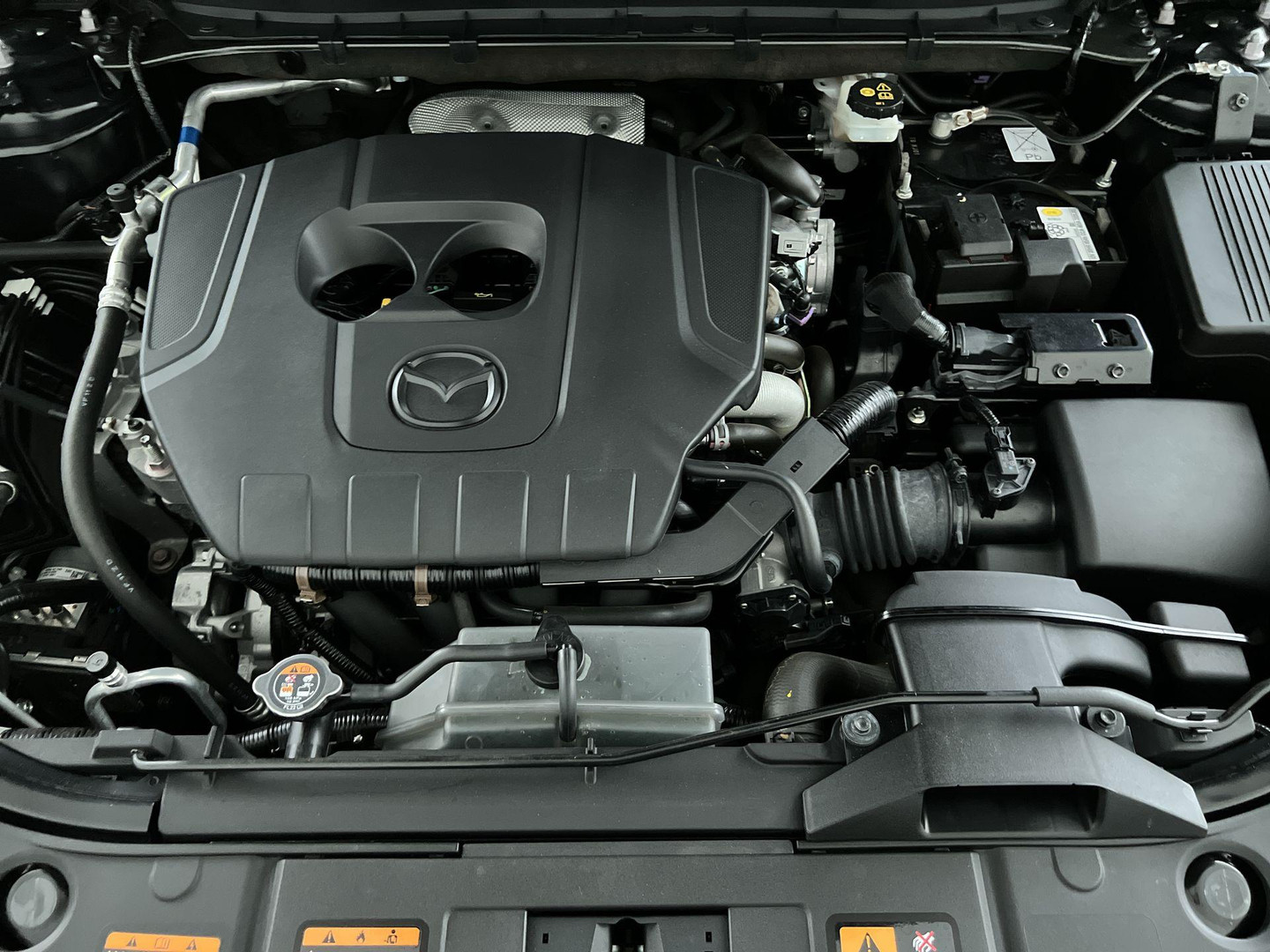 Mazda Mazda
