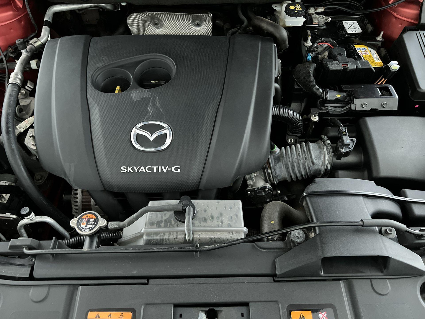 Mazda Mazda