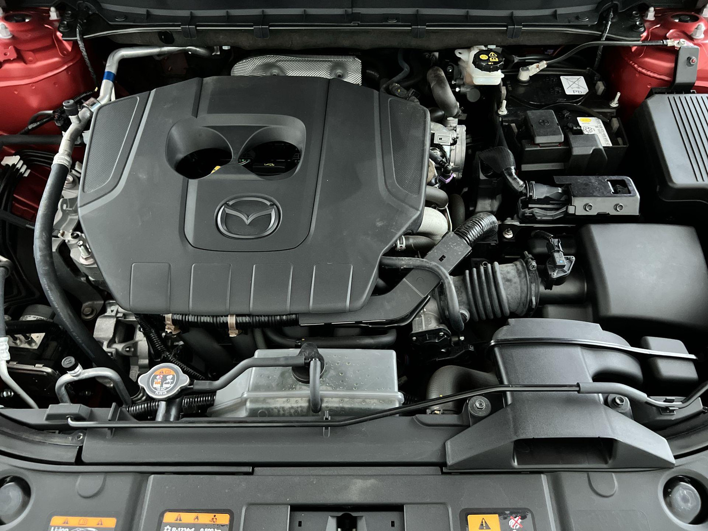 Mazda Mazda