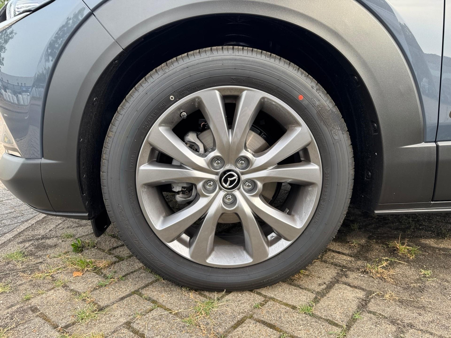 Mazda Mazda