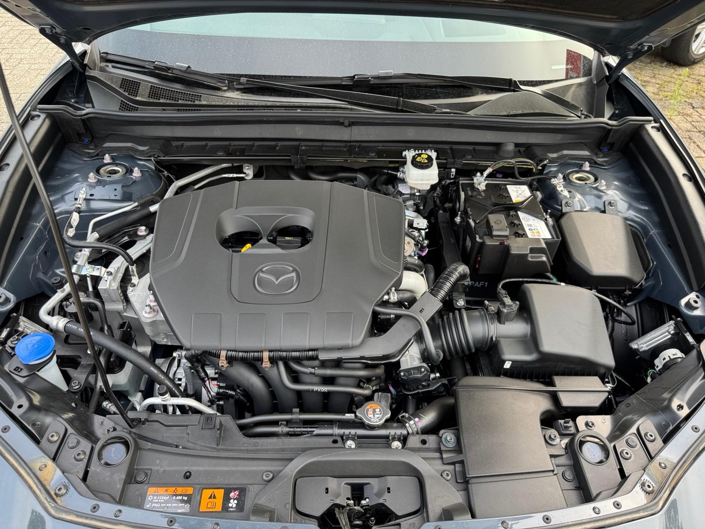 Mazda Mazda
