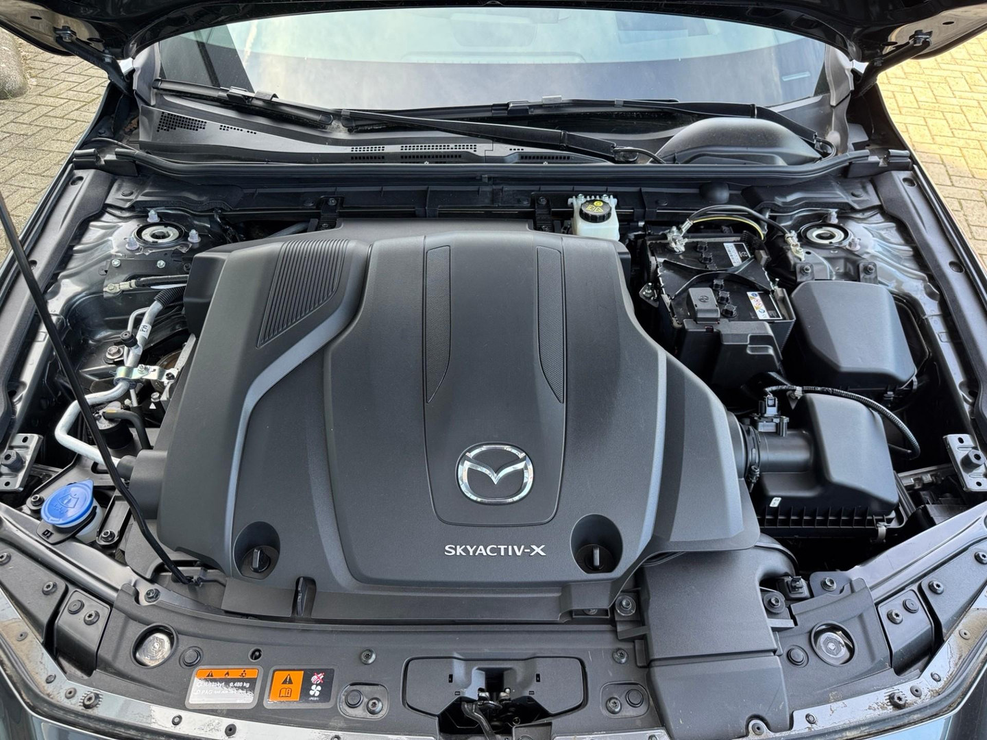 Mazda Mazda