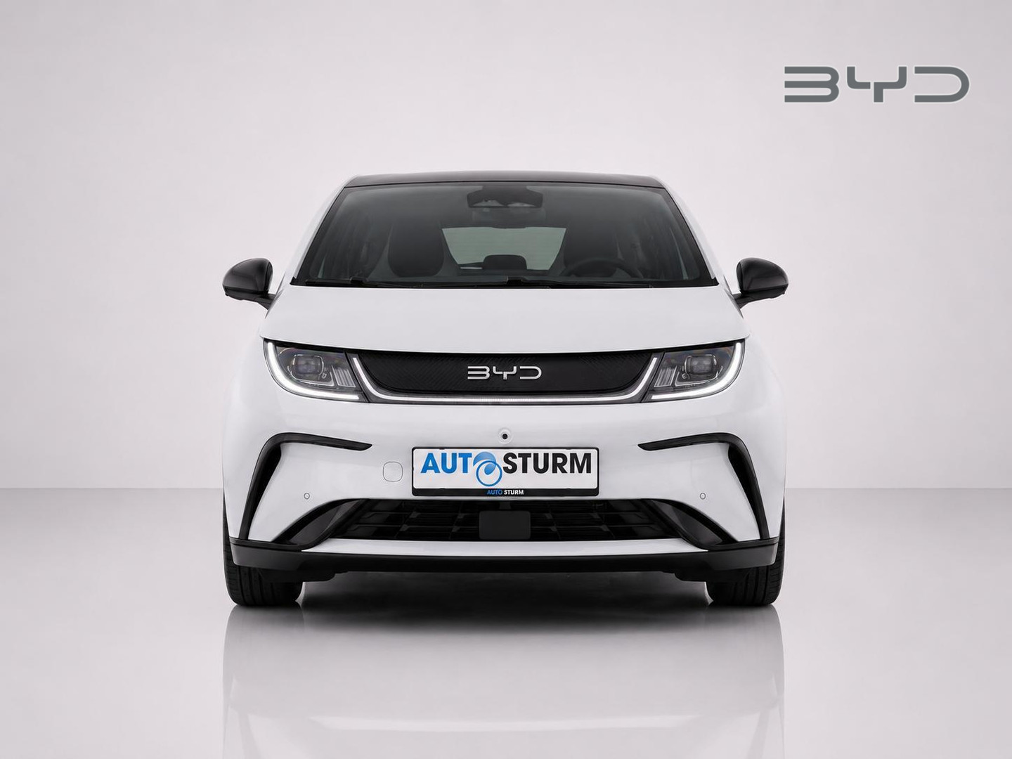BYD