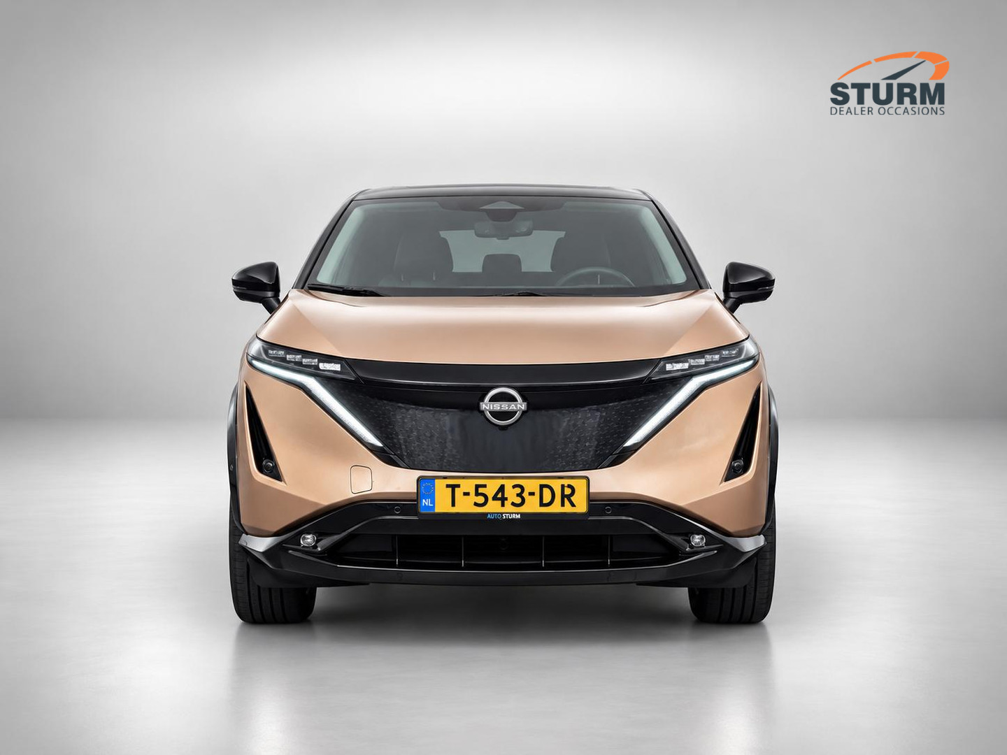 Nissan Ariya
