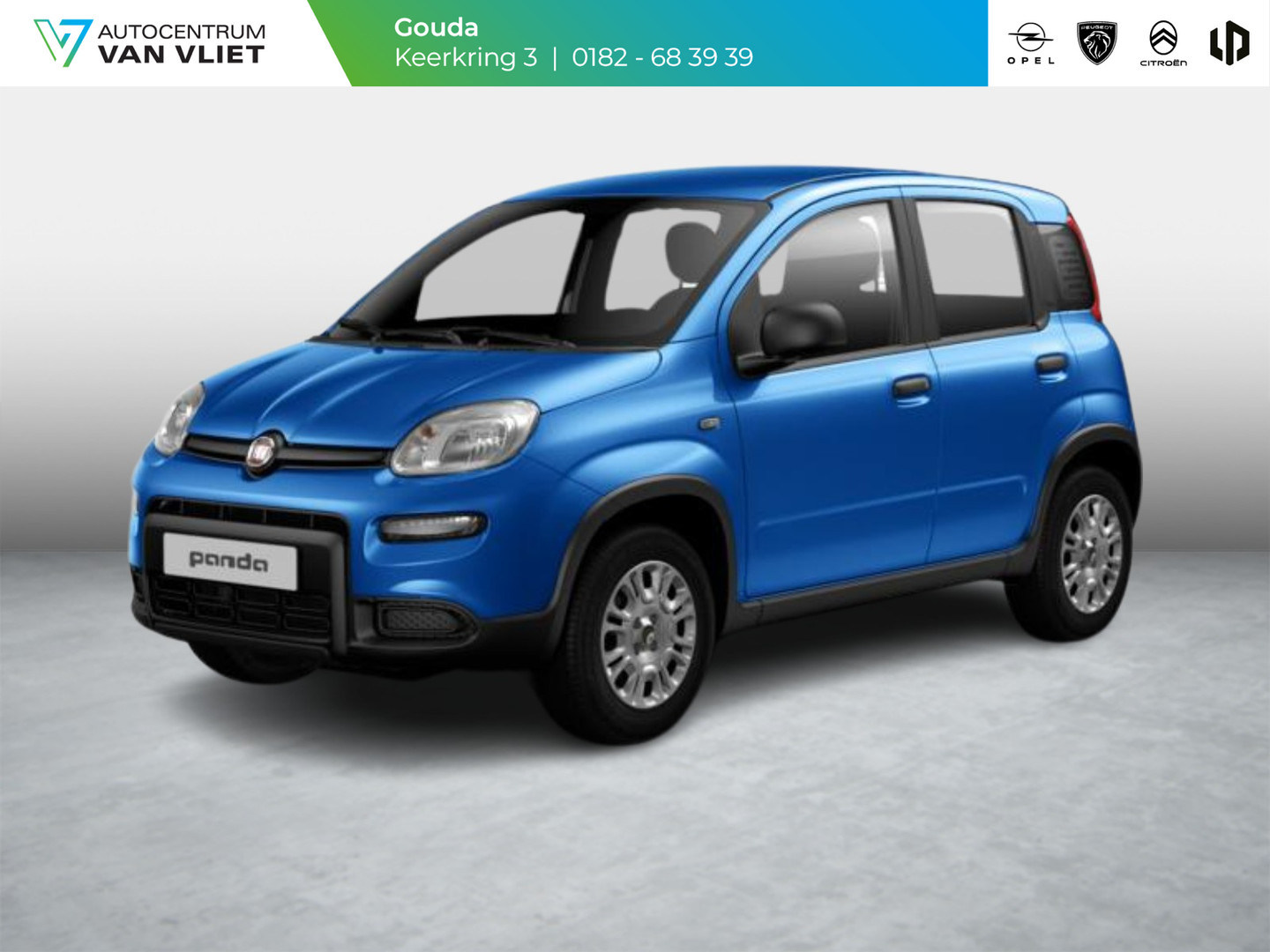 Fiat Fiat