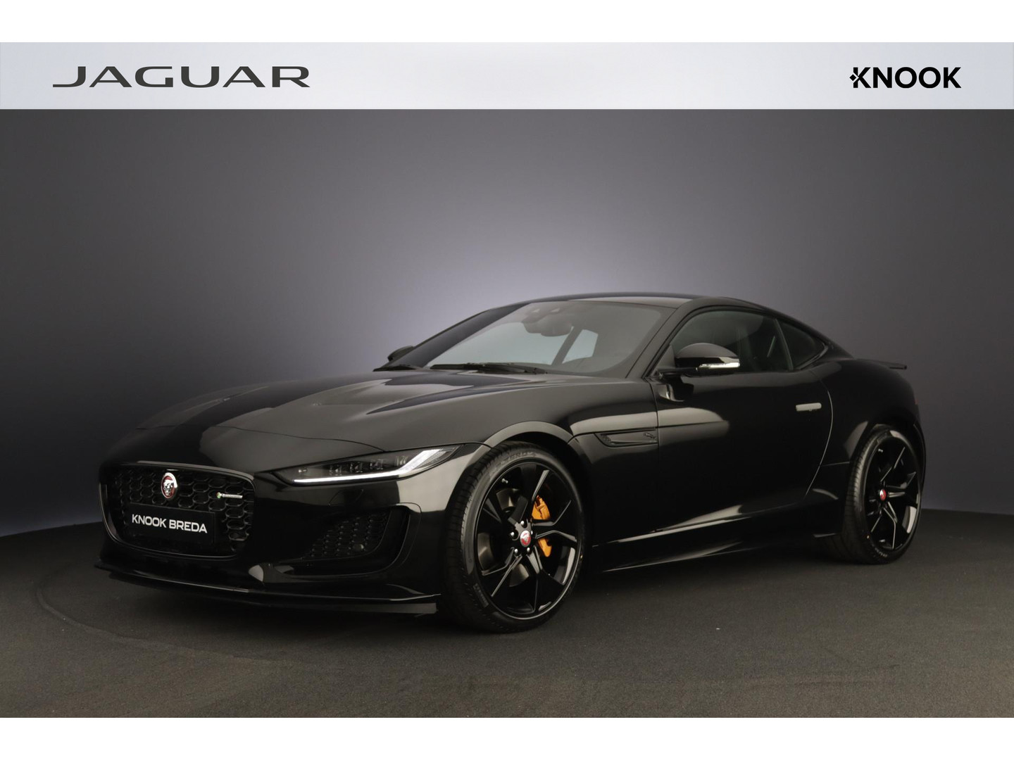 Jaguar Jaguar