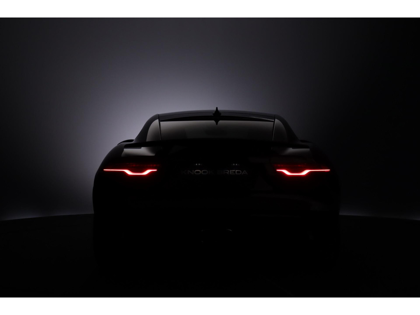 Jaguar Jaguar