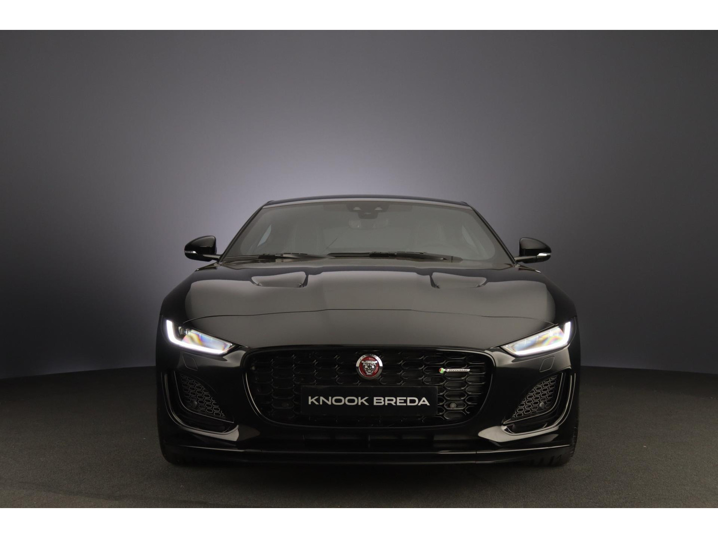 Jaguar Jaguar