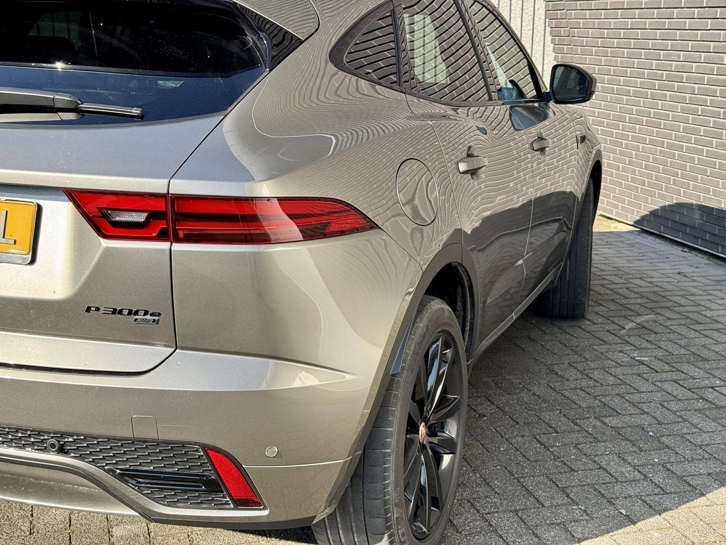 Jaguar Jaguar