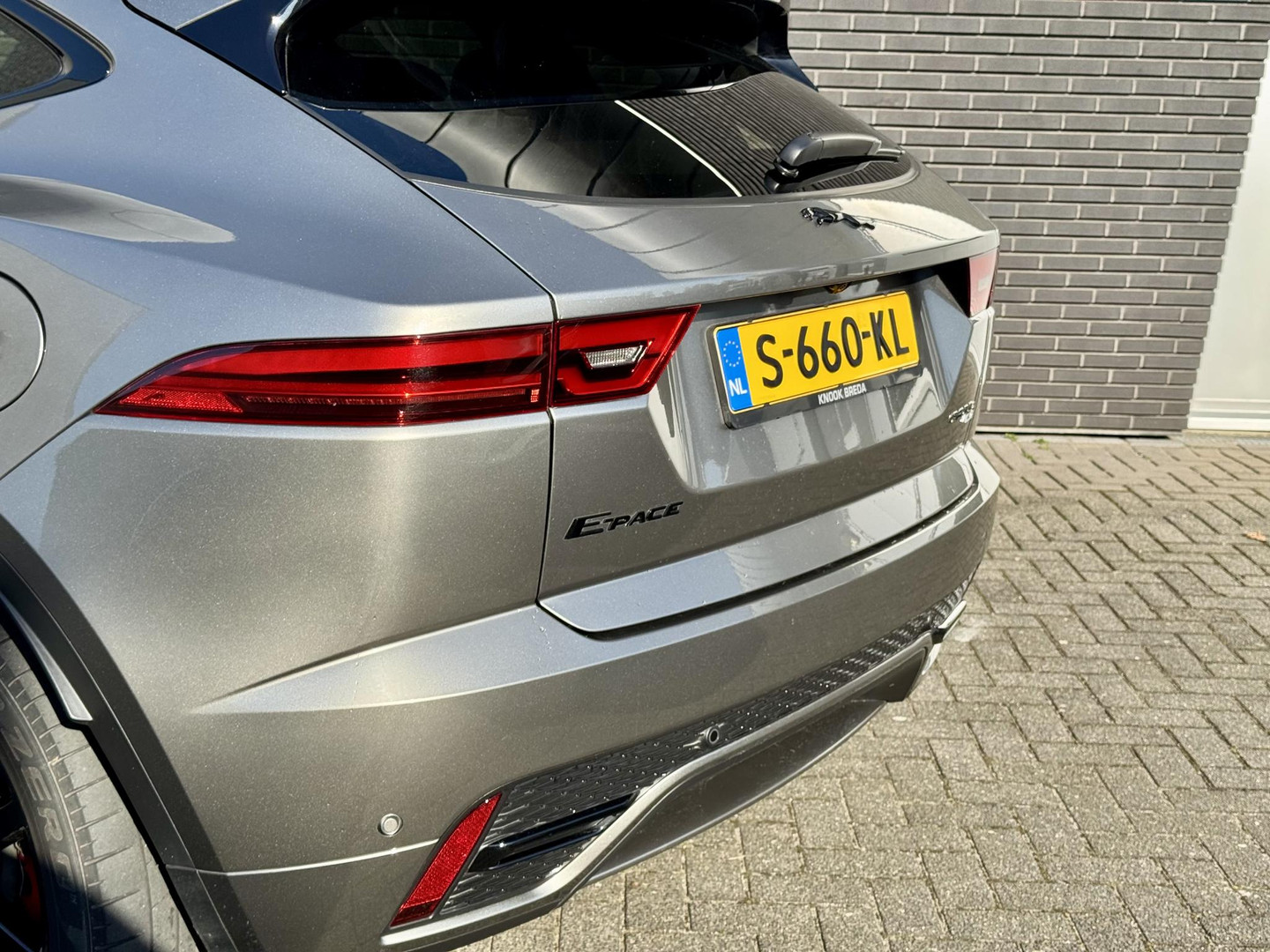 Jaguar Jaguar