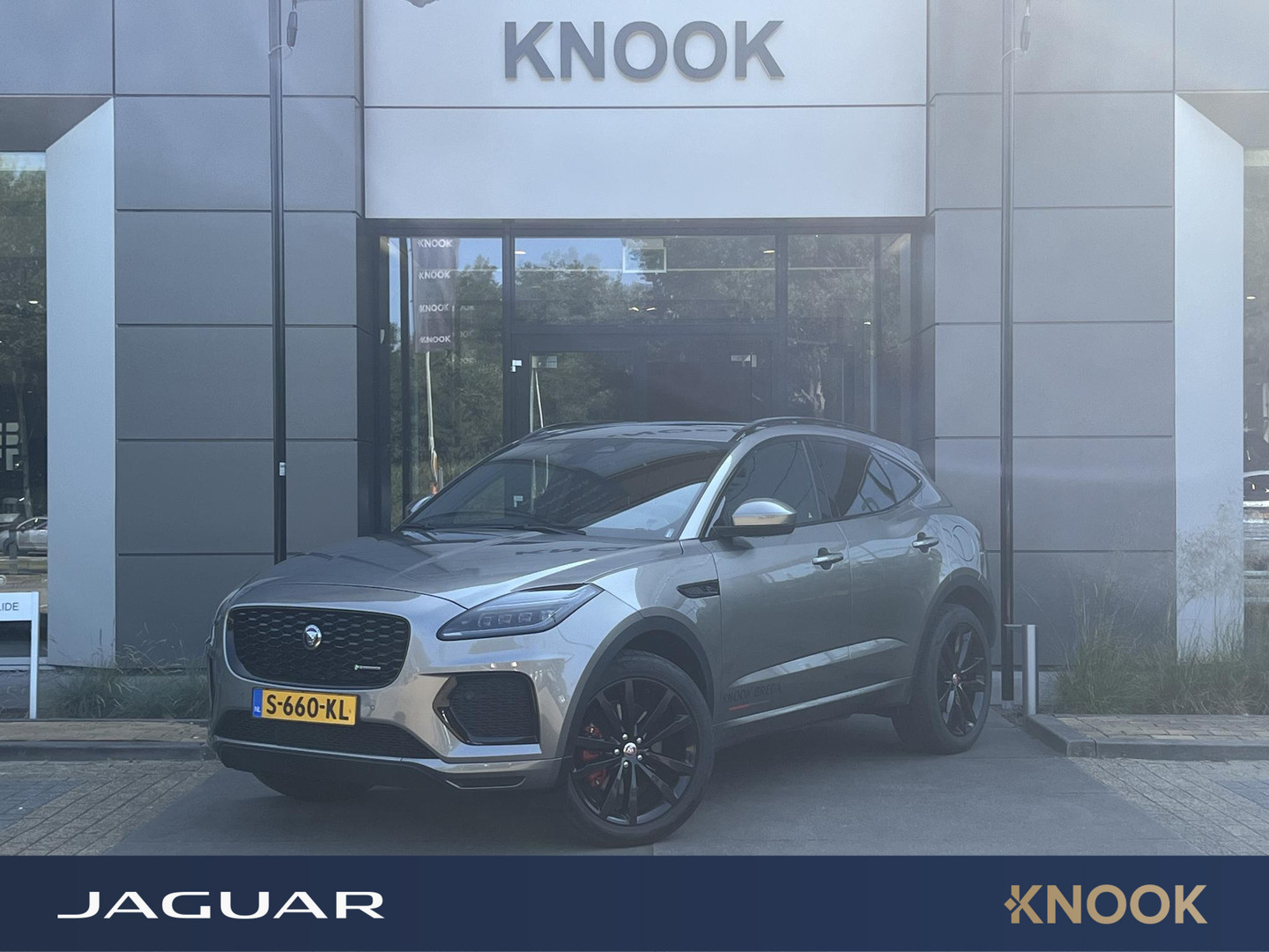 Jaguar Jaguar