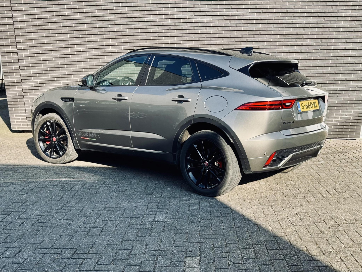 Jaguar Jaguar