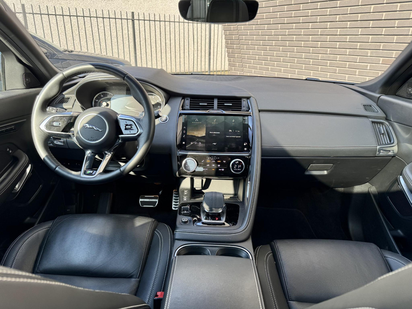 Jaguar Jaguar