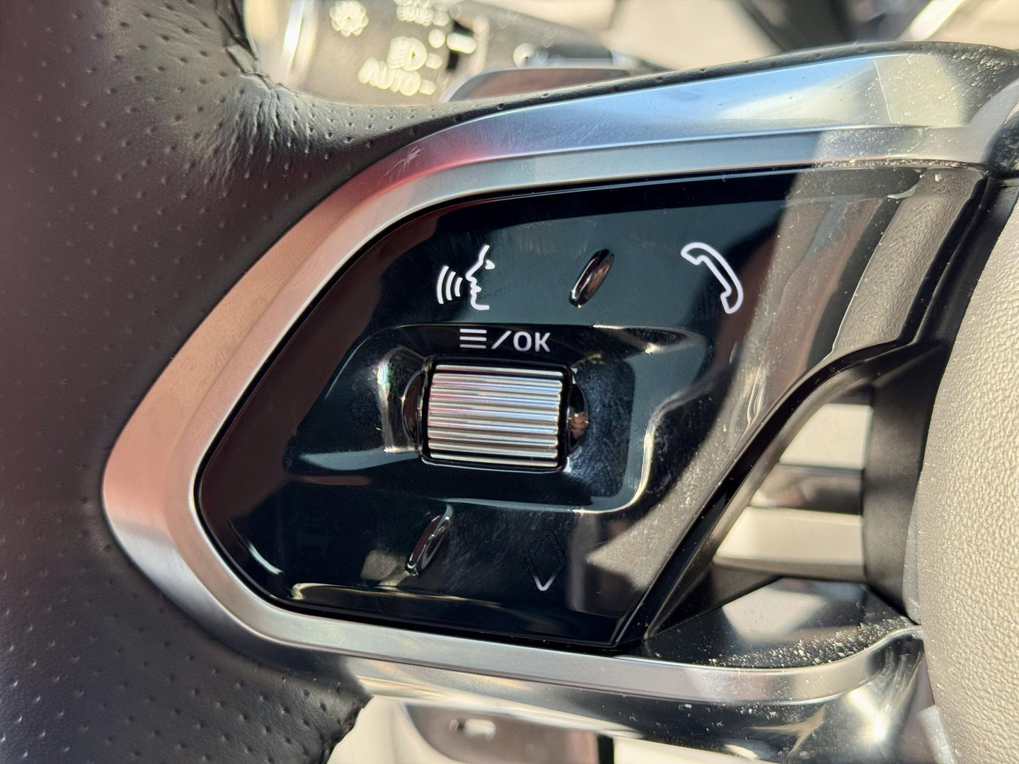 Jaguar Jaguar