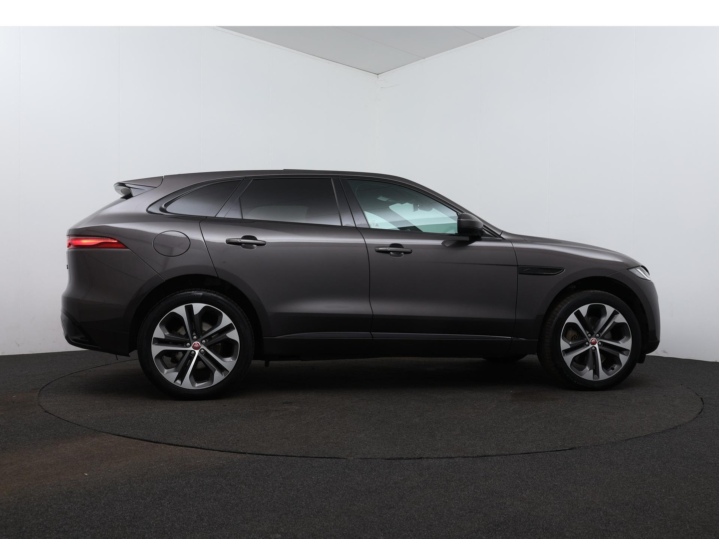 Jaguar Jaguar