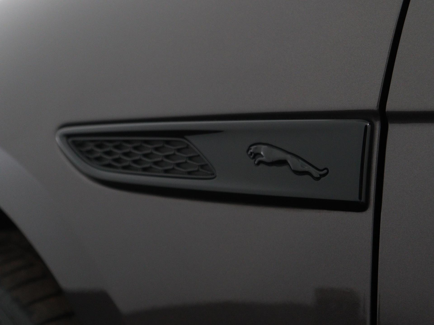 Jaguar Jaguar