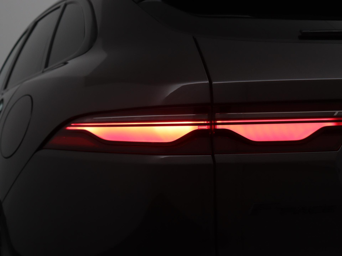 Jaguar Jaguar