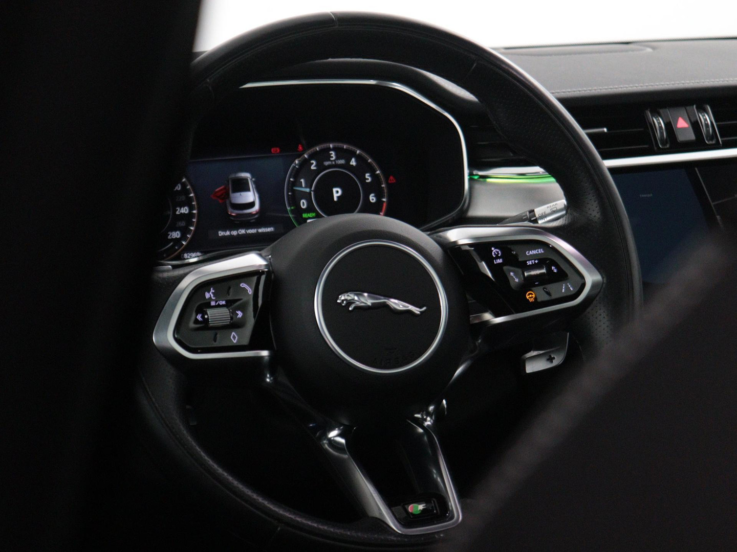 Jaguar Jaguar