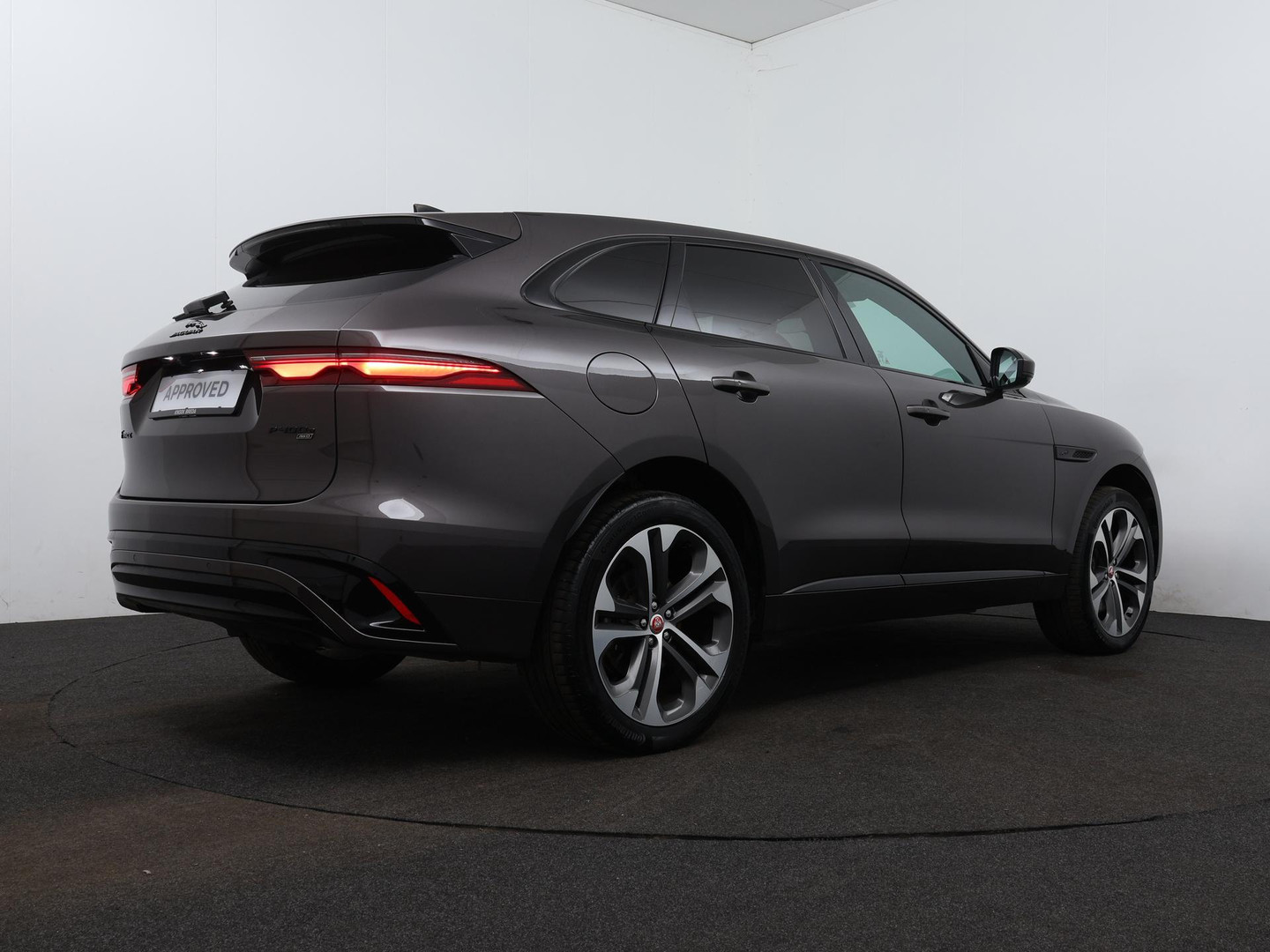 Jaguar Jaguar