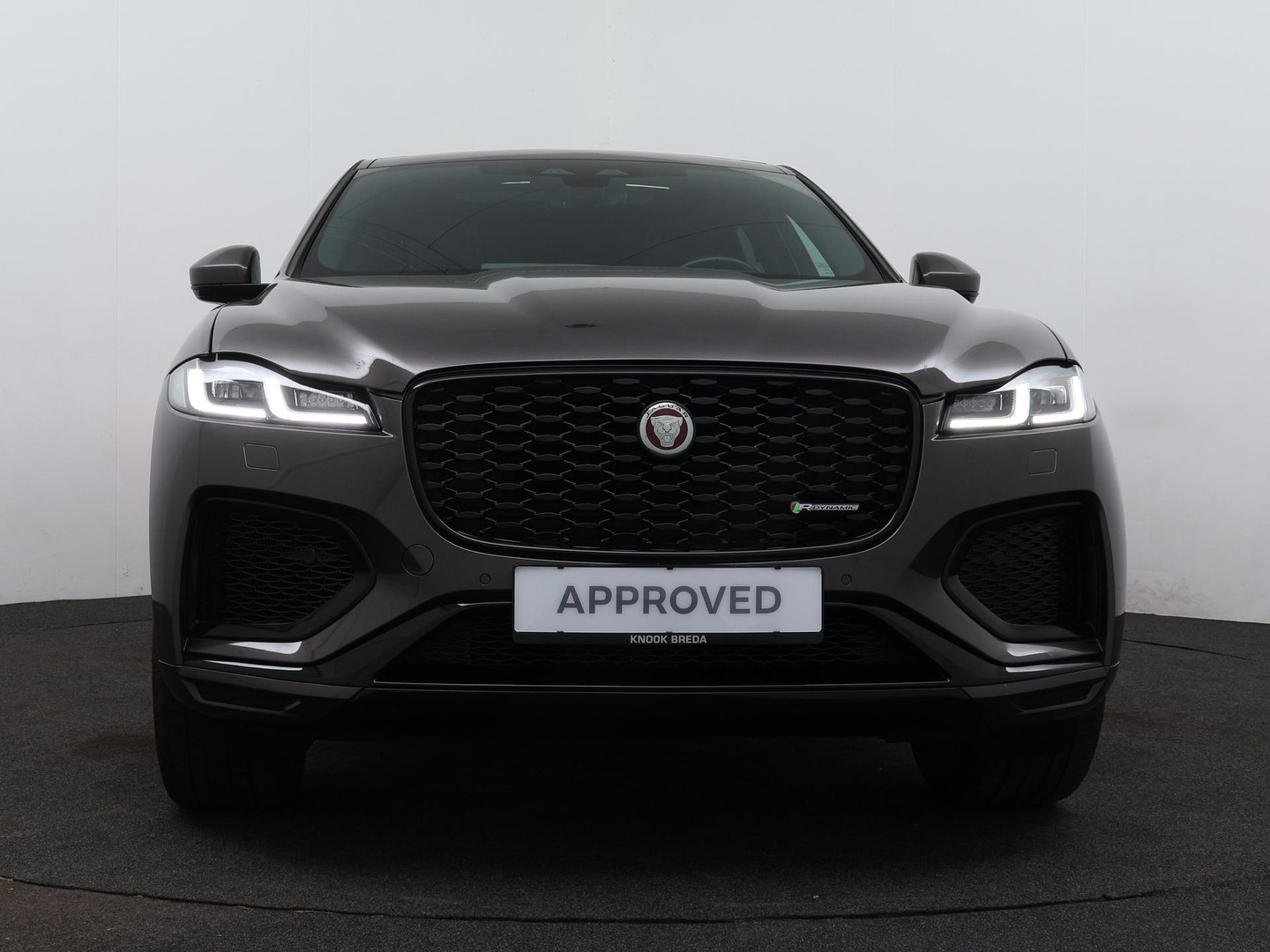 Jaguar Jaguar