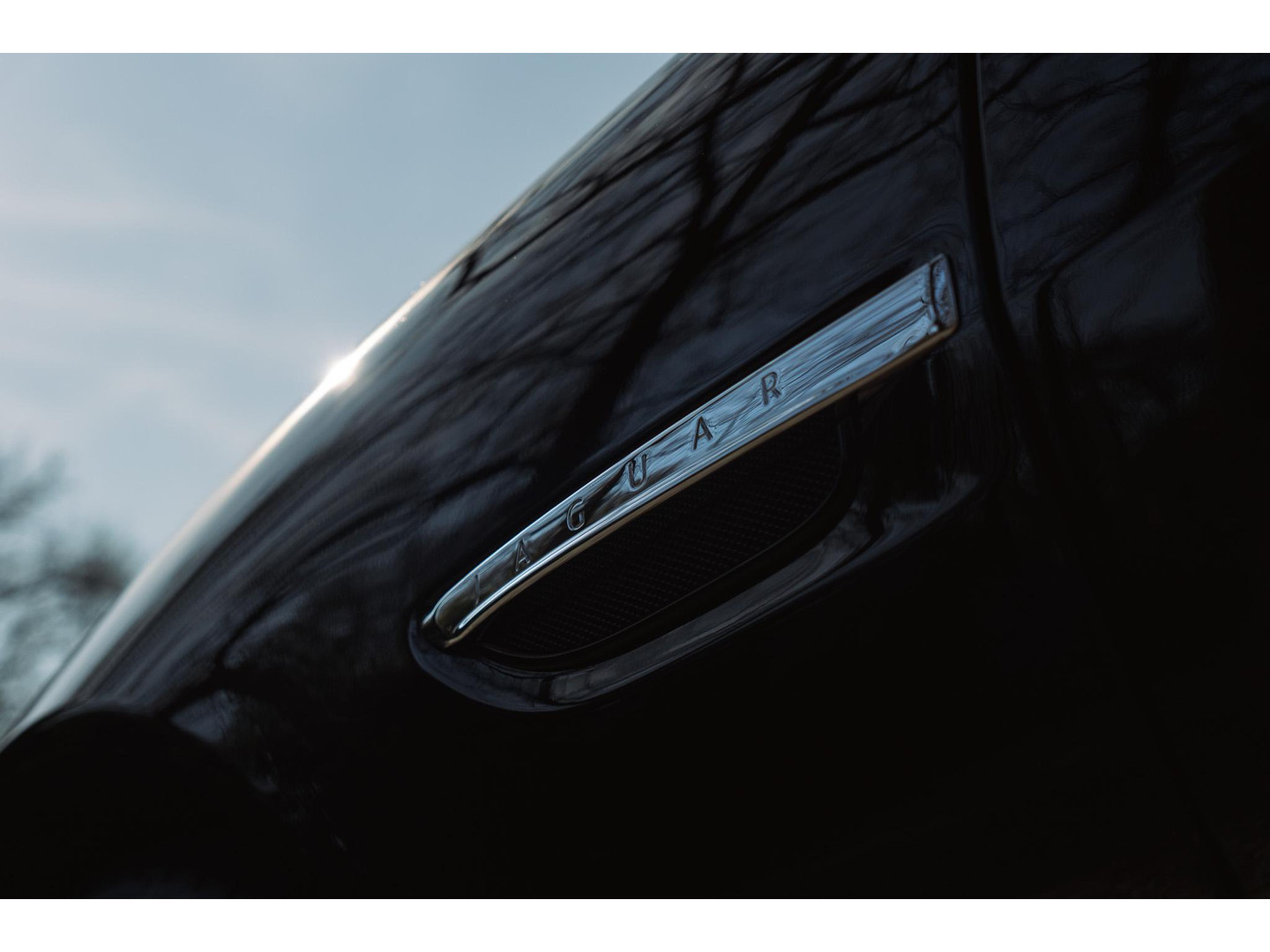Jaguar Jaguar