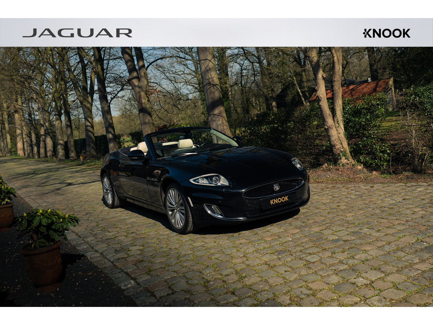 Jaguar