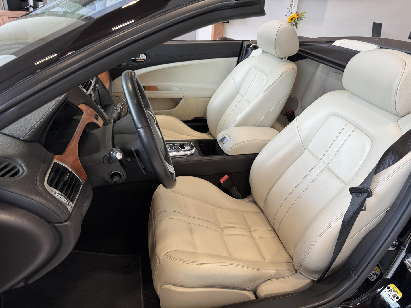Jaguar Jaguar